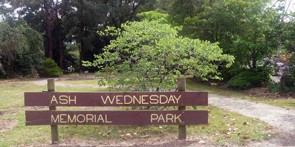 Ash Wednesday Memorial Park