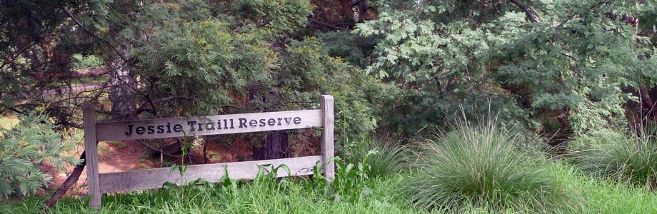 Jessie Traill Reserve