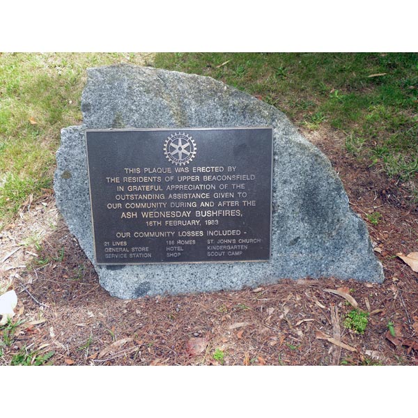 picture of plaque 1