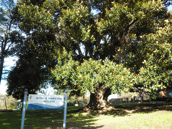 Neville Hamilton Reserve