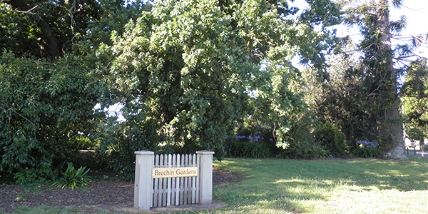Brechin Gardens