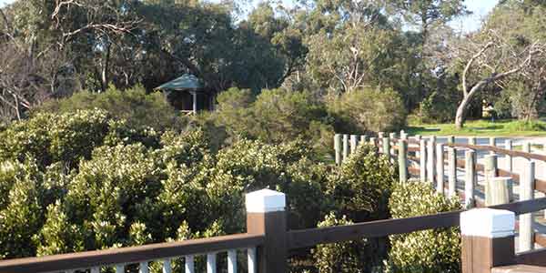 Cannons-Creek-Foreshore-Reserve