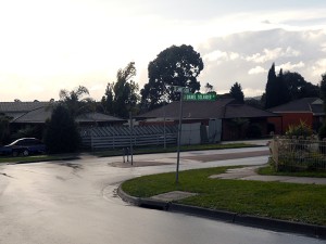 Daniel Solander Drive