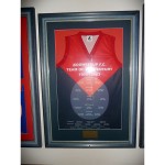 Image of 2003 Team of the Century jumper