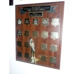 Image of KWR NT&PO Best Player Shield