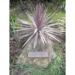 Beatriz Sanchez plaque