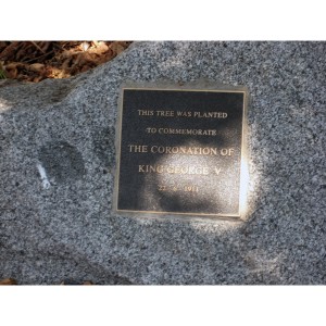 Coronation Tree plaque