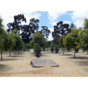 Pioneers Park plaque