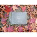 Tom Roche plaque